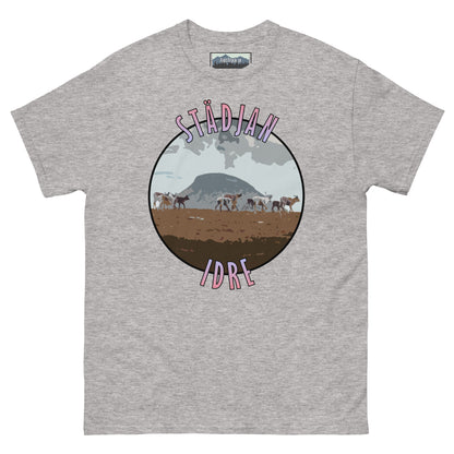 Städjan - Tshirt
